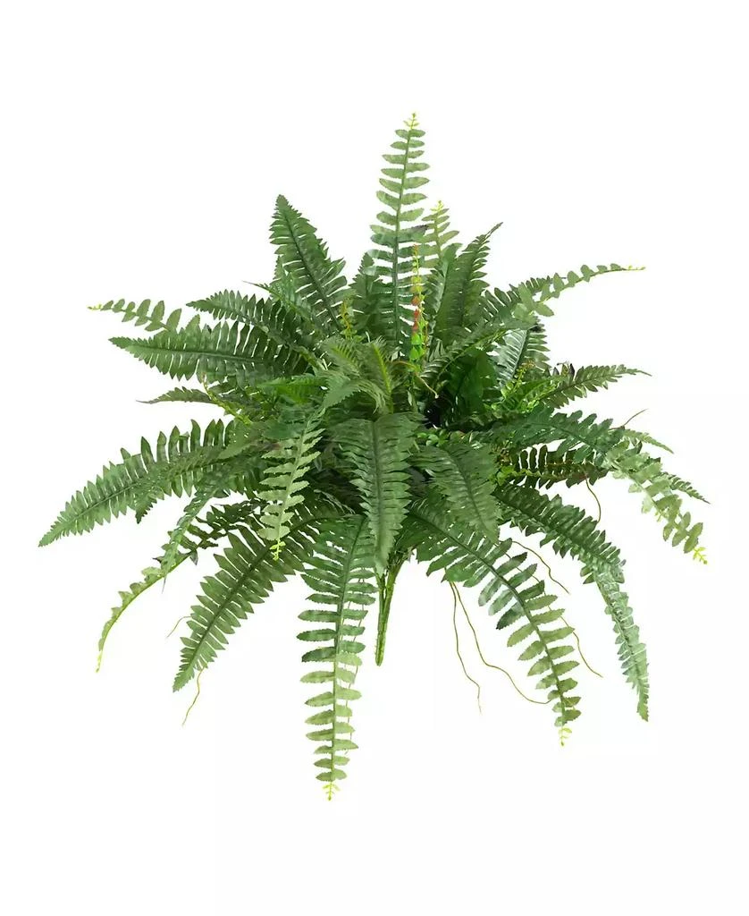 商品NEARLY NATURAL|40" Boston Fern, Set of 2,价格¥516,第1张图片