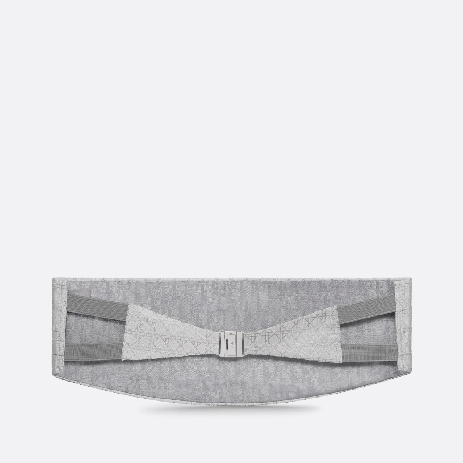 【预售】 迪奥 25春夏 男士 其他配饰 Ceinture de smoking Cannage 19S1240C0810_C810  商品