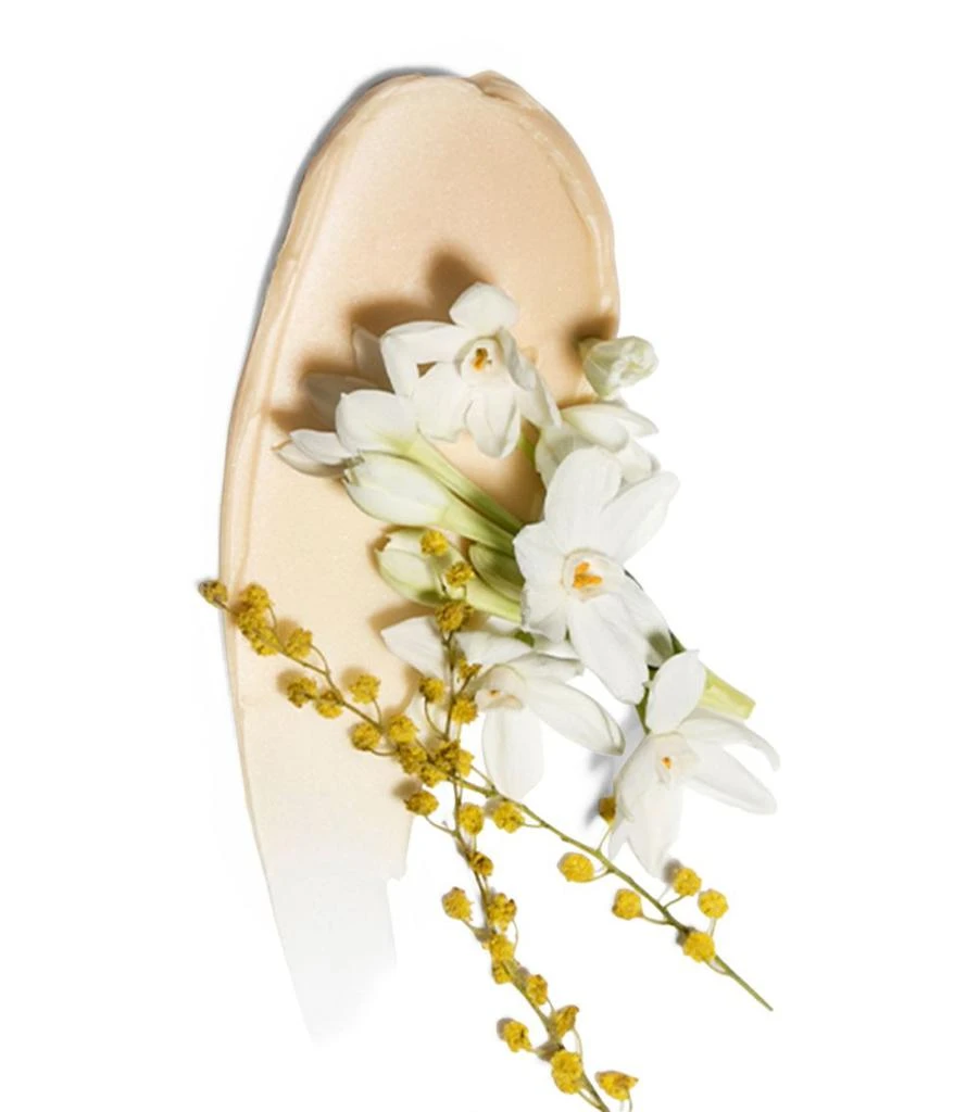 商品Chantecaille|Gold Recovery Mask (50ml),价格¥2929,第2张图片详细描述