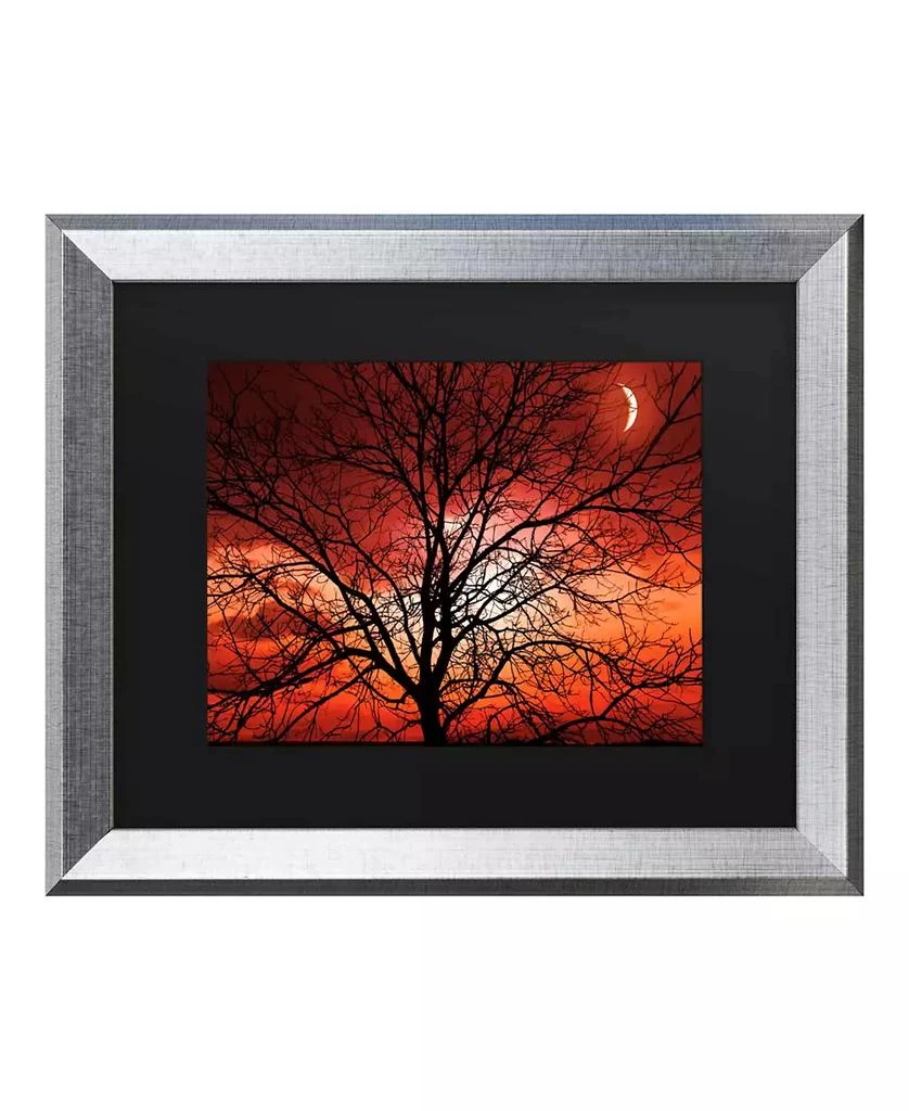 商品Trademark Global|Philippe Sainte-Laudy Big Bad Moon Matted Framed Art - 20" x 25",价格¥556,第1张图片