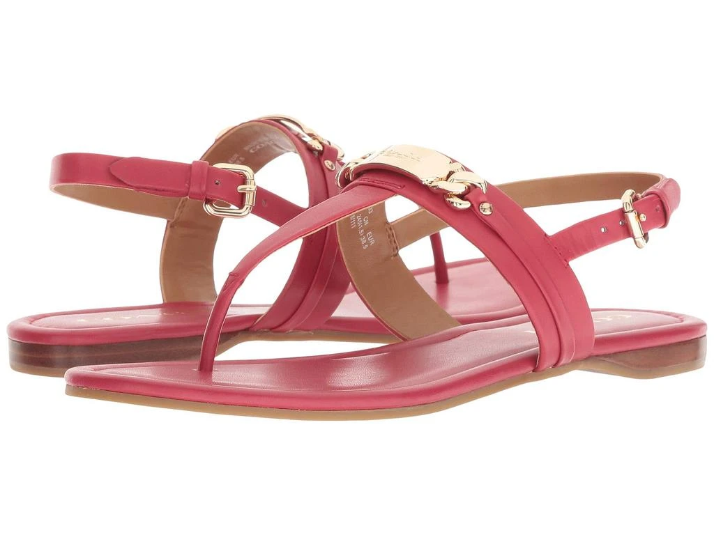 商品Coach|Caterine Sandal,价格¥501,第1张图片