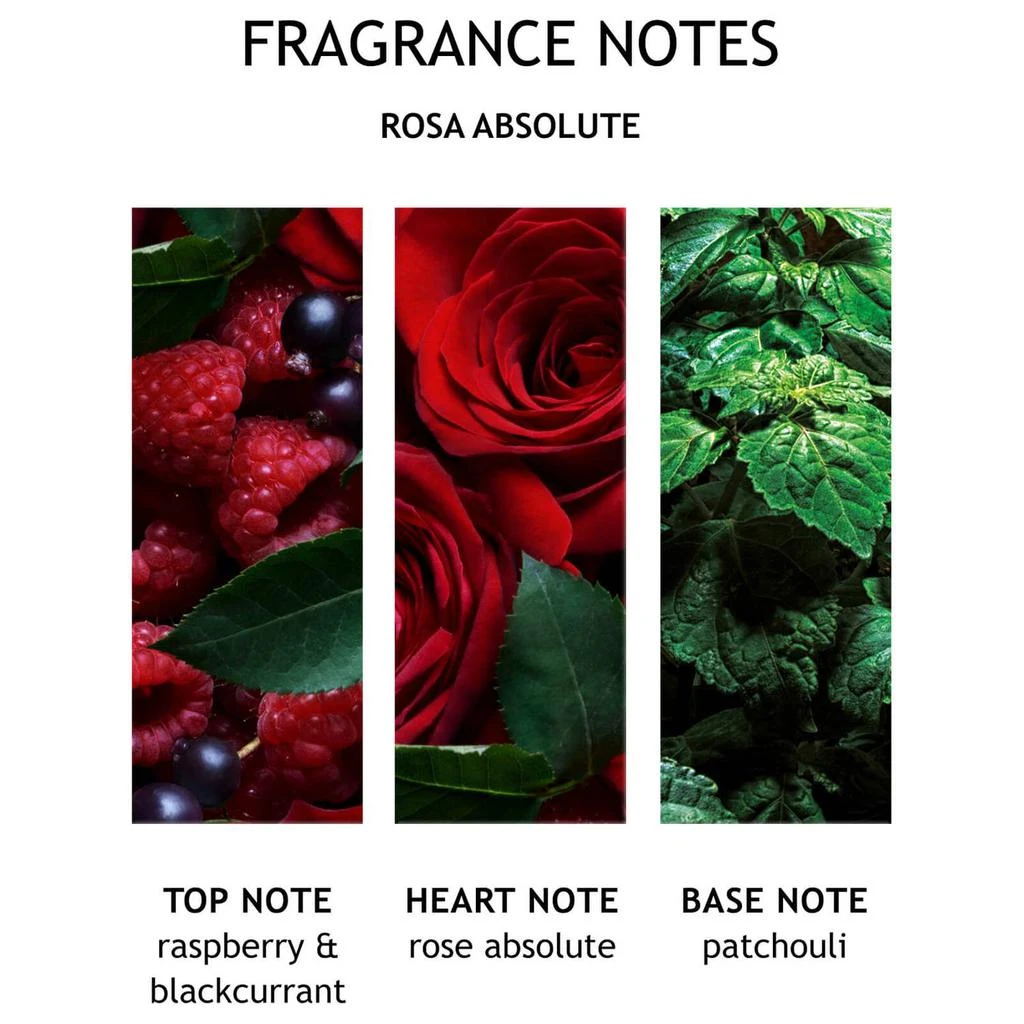 商品Molton Brown|玫瑰精华身体乳 300ml,价格¥311,第4张图片详细描述