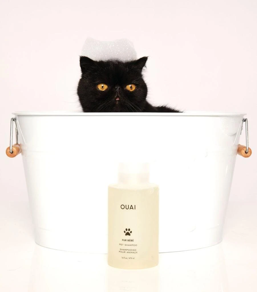 商品OUAI|Fur Bébé Pet Shampoo (474ml),价格¥308,第4张图片详细描述