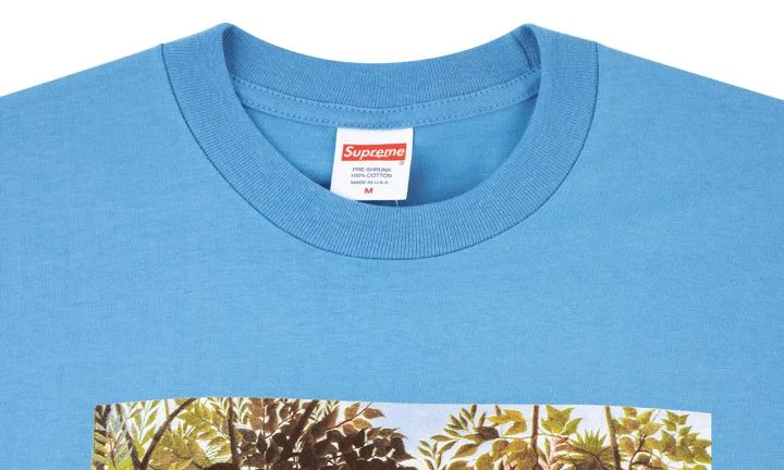 商品Supreme|Supreme Masterpieces Tee,价格¥673,第3张图片详细描述