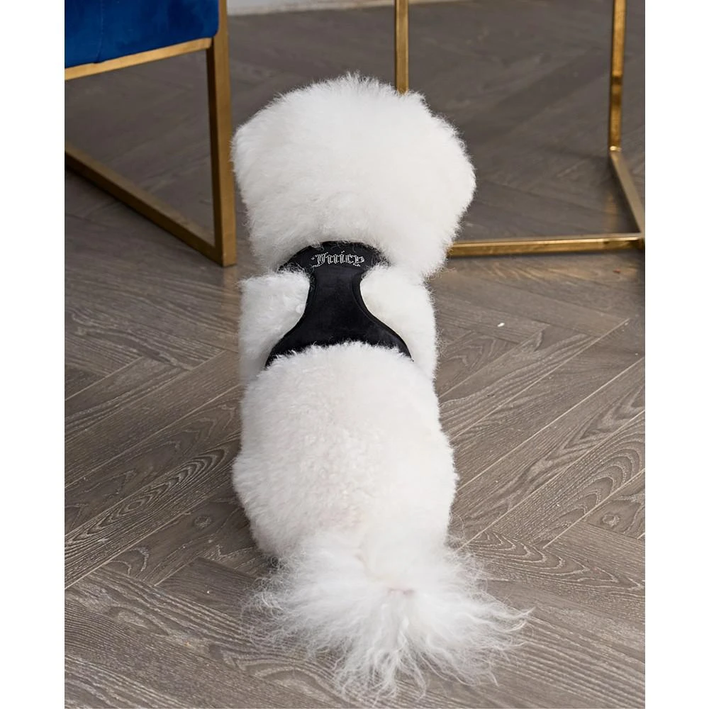 Bling Velour Pet Harness and Leash 2 Piece Set 商品