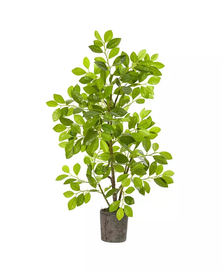 商品NEARLY NATURAL|3' Ficus Artificial Tree in Planter,价格¥1128,第1张图片