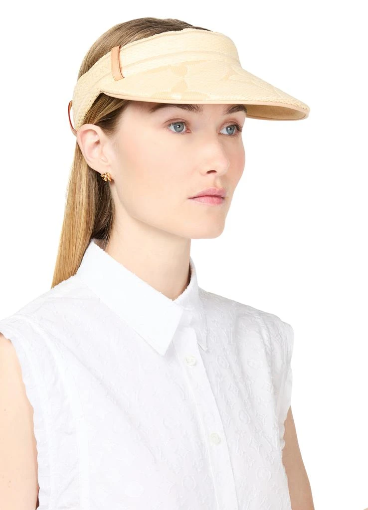 Beachview Visor 商品