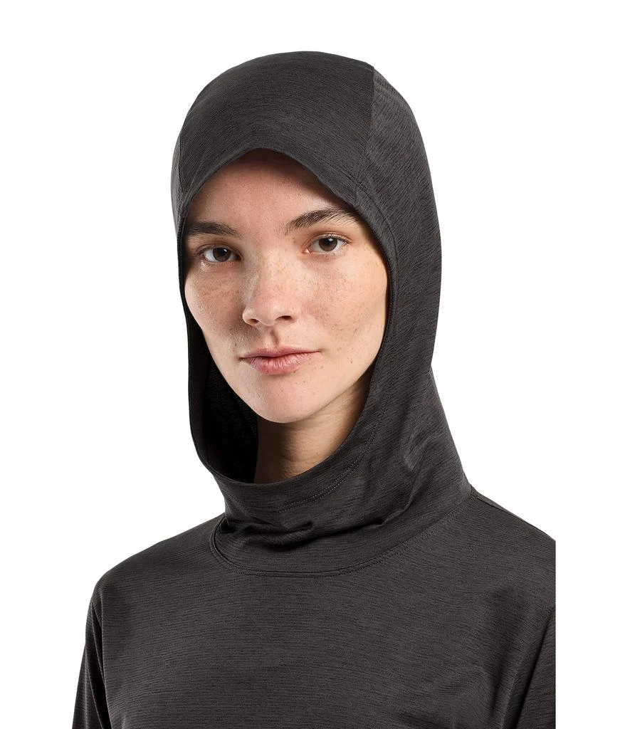 商品Arc'teryx|Taema Hoodie,价格¥512,第4张图片详细描述