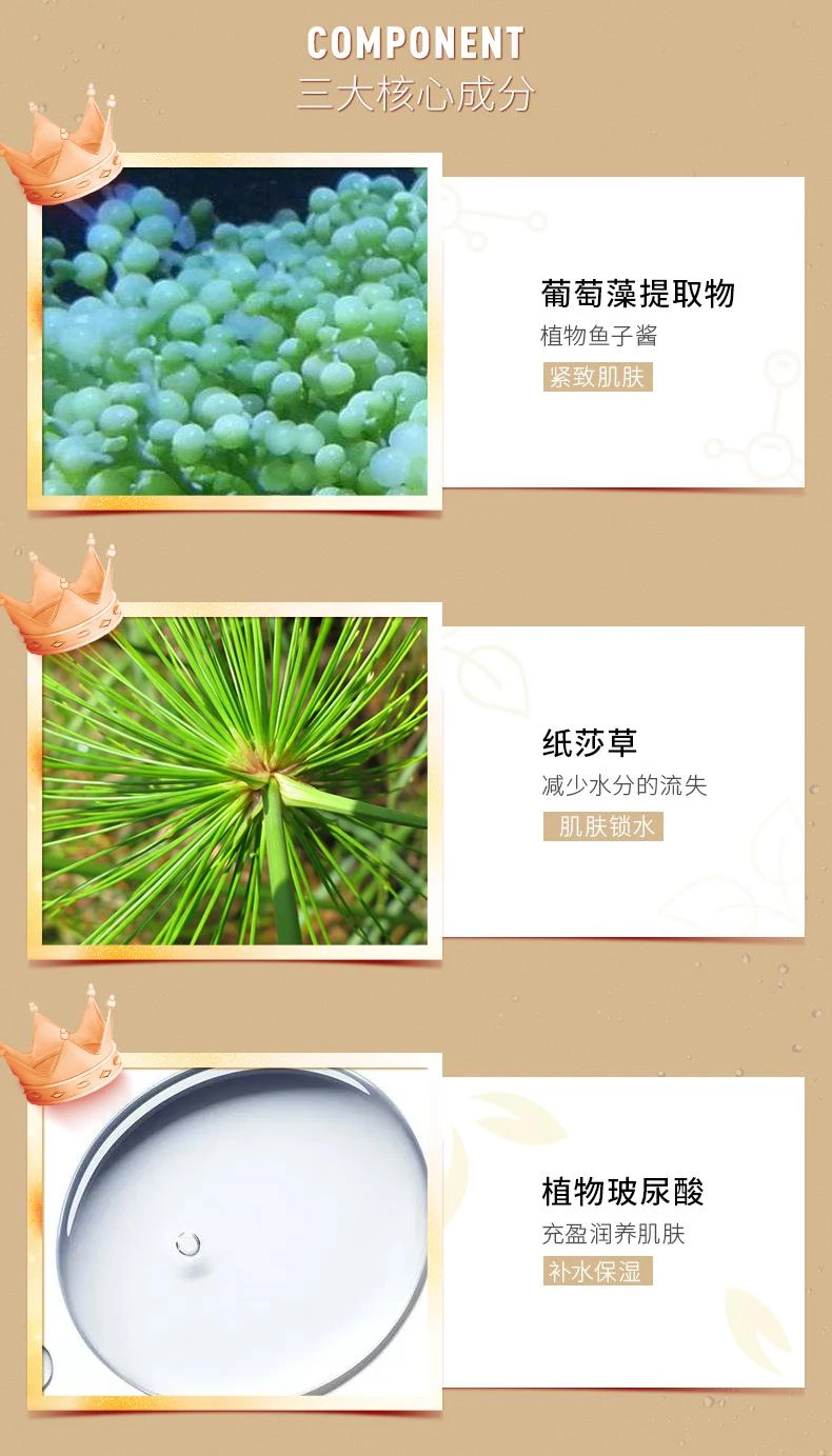 商品Annemarie Borlind|欧洲直邮AnneMarie Borlind 安娜柏林海葡萄年轻精华30ml肌底液保湿修护肌肤细纹提亮肤色,价格¥386,第4张图片详细描述