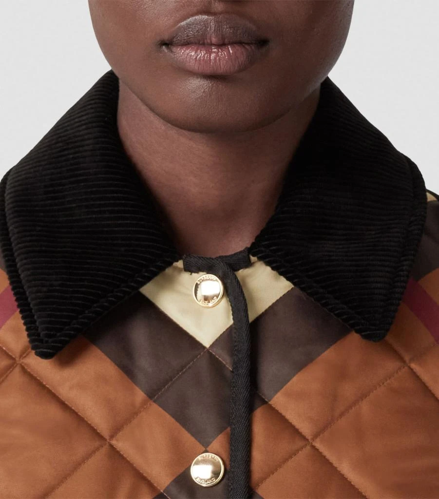 商品Burberry|Chevron Check Quilted Jacket,价格¥13403,第5张图片详细描述