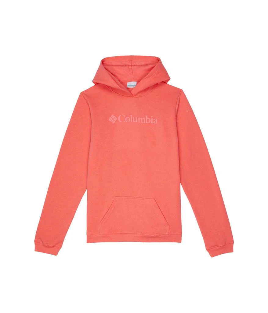 商品Columbia|Trek™ Hoodie (Little Kids/Big Kids),价格¥203,第1张图片