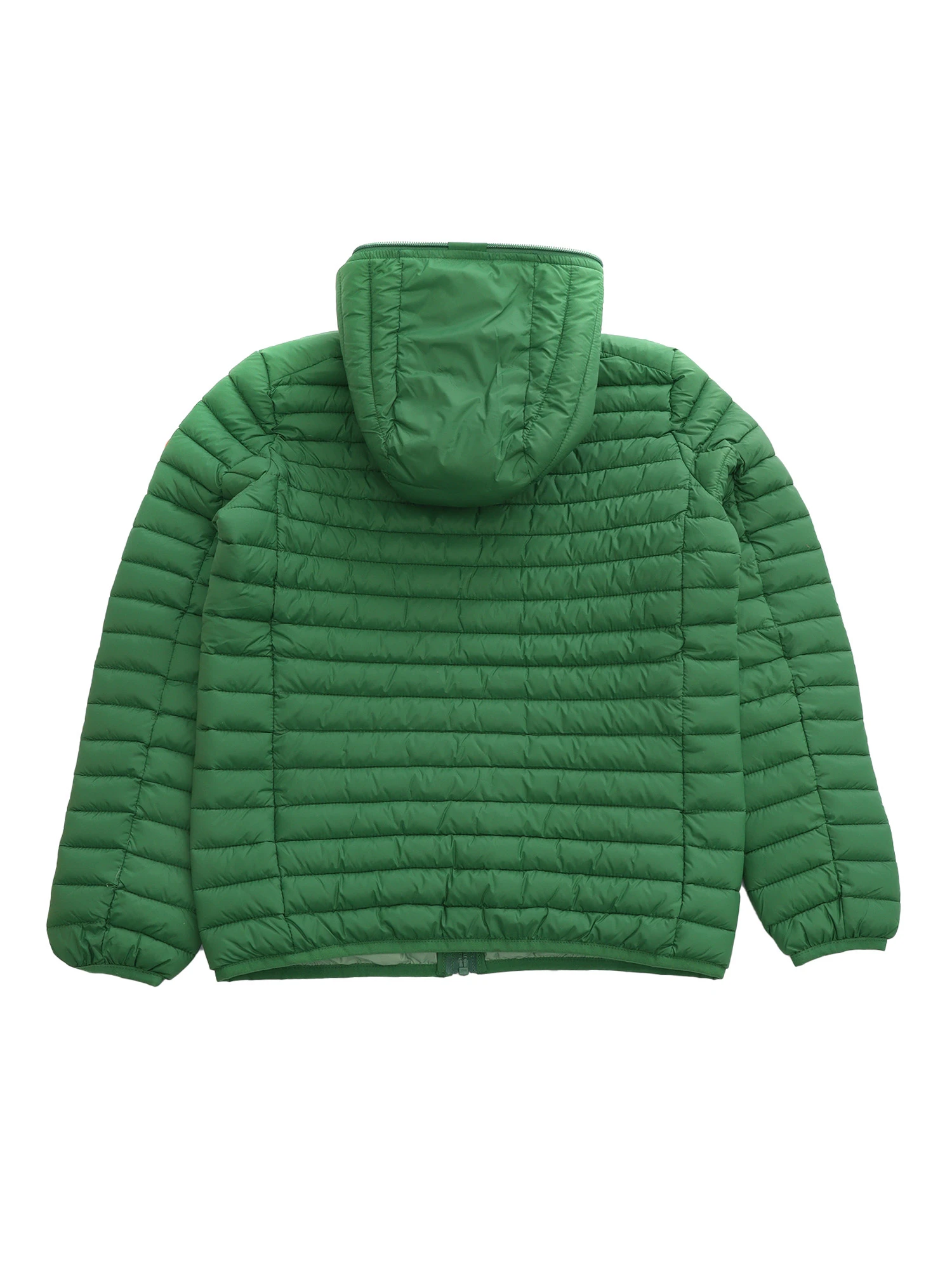 商品【商品预售7天】 Save The Duck|Save The Duck 男童羽绒服 J30650BGIGA1650043 绿色,价格¥524,第3张图片详细描述