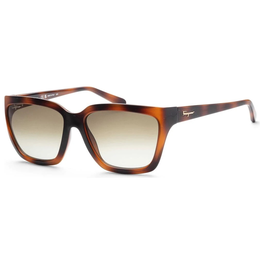 商品Salvatore Ferragamo|Ferragamo Women's Sunglasses SF1018S-214,价格¥487,第1张图片