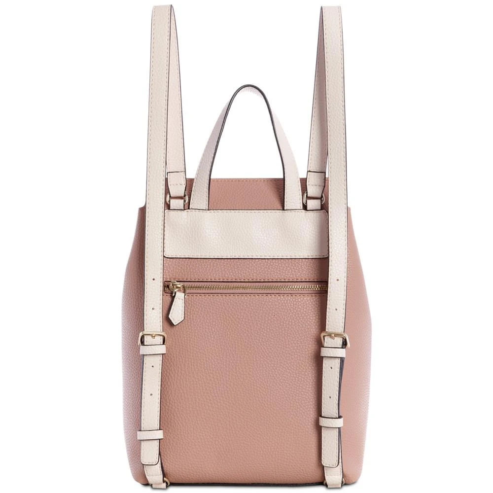 Varsity Pop Backpack 商品