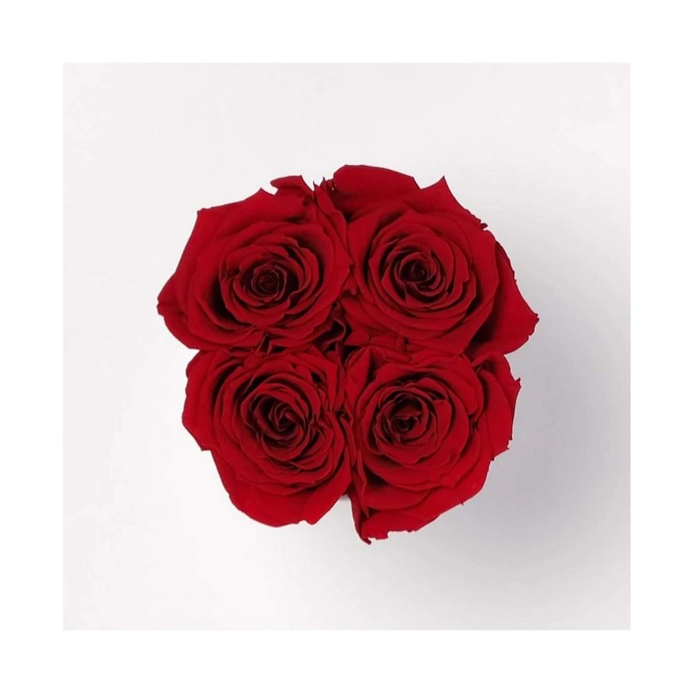 商品Infinity Roses|Round Box of 4 Red Real Roses Preserved To Last Over A Year,价格¥635,第3张图片详细描述