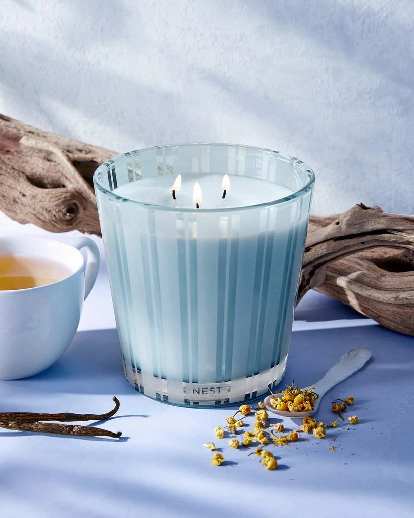 商品NEST New York|21.1 oz. Driftwood & Chamomile 3-Wick Candle,价格¥657,第3张图片详细描述