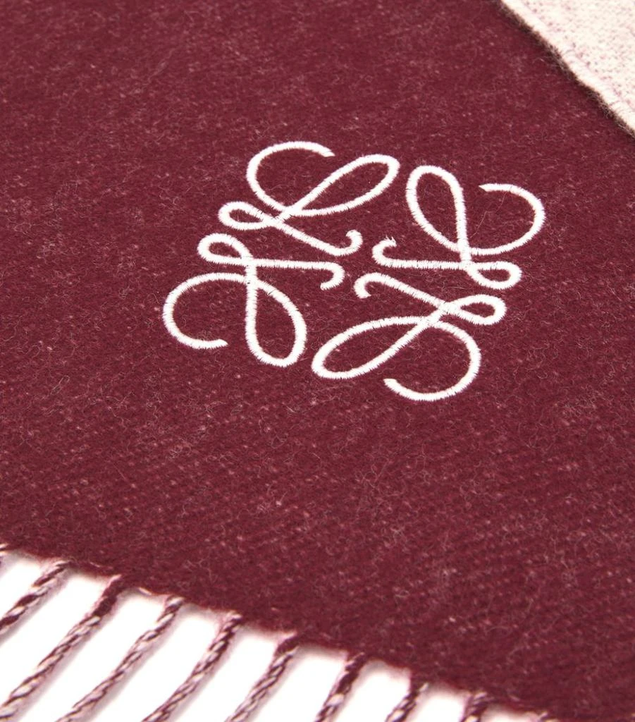 商品Loewe|Wool-Cashmere Bicolour Scarf,价格¥2626,第3张图片详细描述