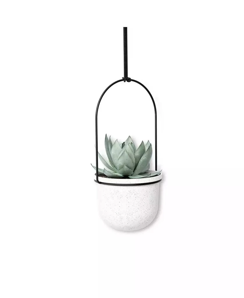 Triflora Hanging Planter, Set of 5 商品