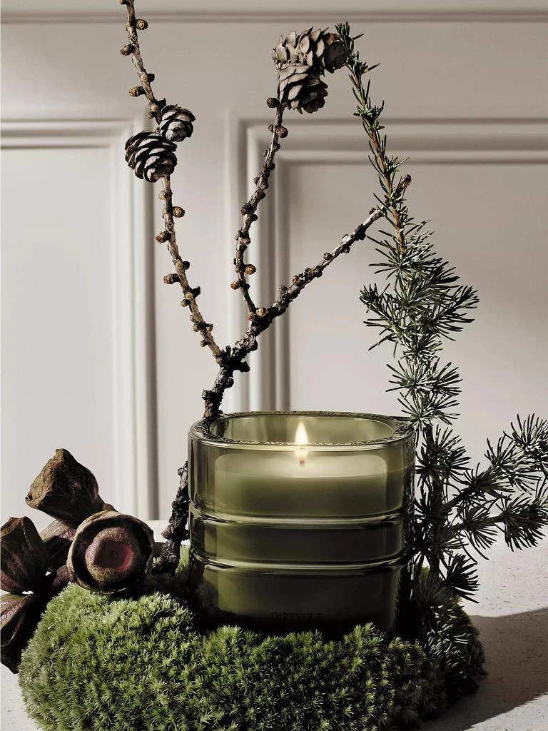 商品Diptyque|Temple des Mousses (Moss Temple) Refillable Candle,价格¥2136,第2张图片详细描述