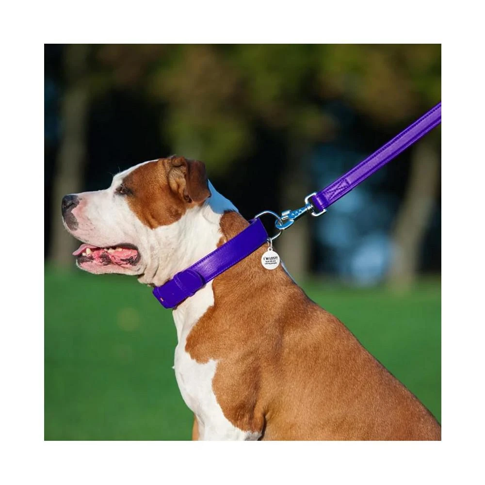 商品Waudog|Glamour genuine leather dog leash,价格¥149,第2张图片详细描述