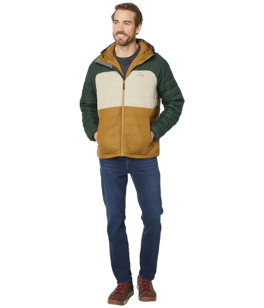 商品L.L.BEAN|Bean's Down Hooded Jacket Color-Block,价格¥669,第4张图片详细描述