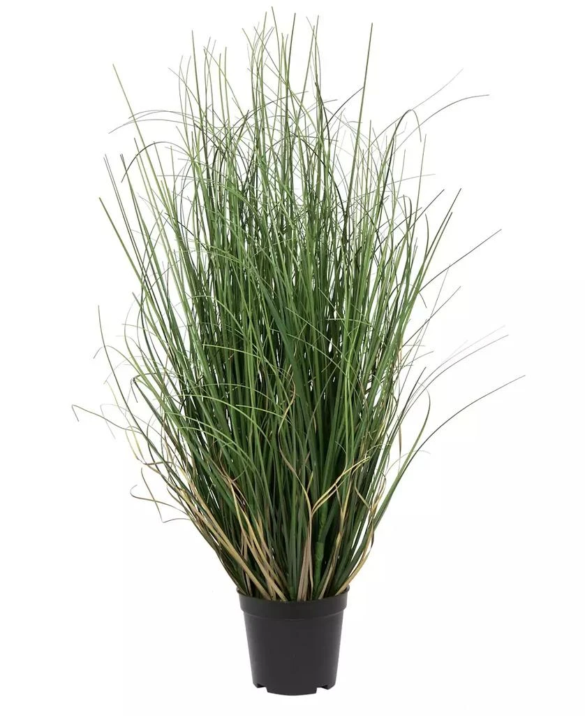 商品Vickerman|24" Artificial Potted Green Curled Grass,价格¥299,第1张图片