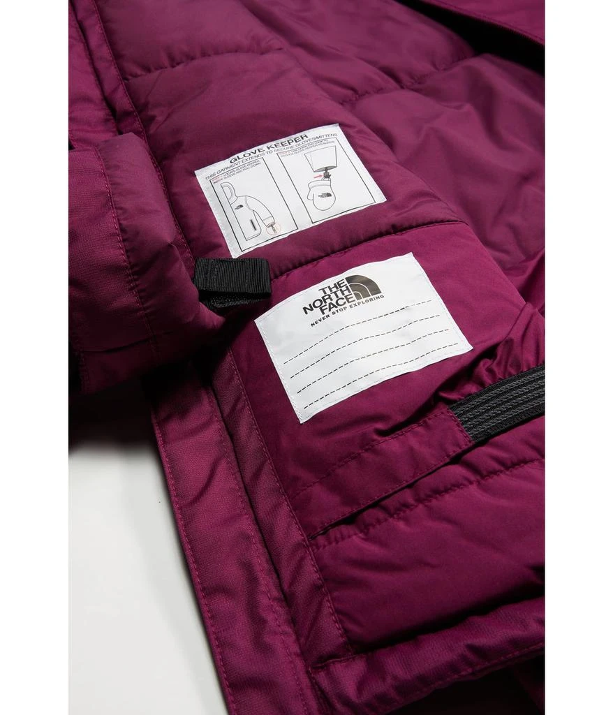 商品The North Face|Freedom Insulated Jacket (Little Kids/Big Kids),价格¥775,第2张图片详细描述
