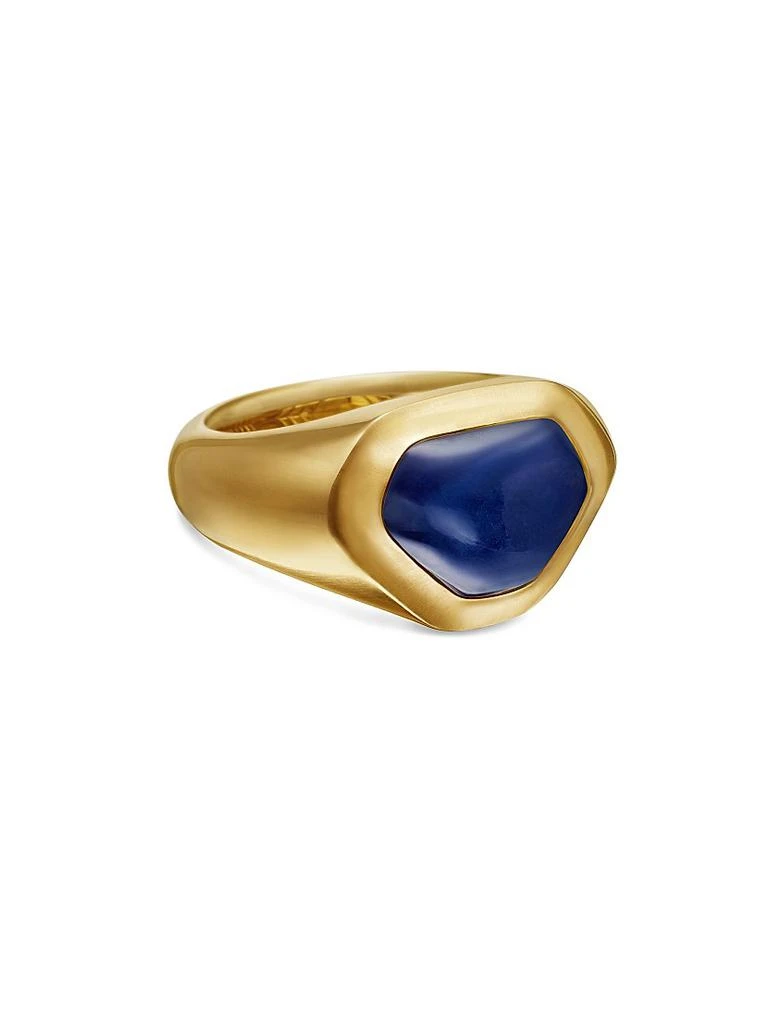 商品David Yurman|Shipwreck Signet Ring in 18K Yellow Gold,价格¥70249,第1张图片