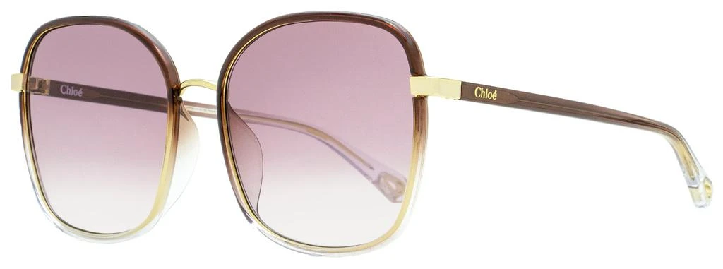 商品Chloé|Women's Franky Sunglasses CH0031SA 004 Gold/Brown/Transparent 59mm,价格¥2208,第1张图片
