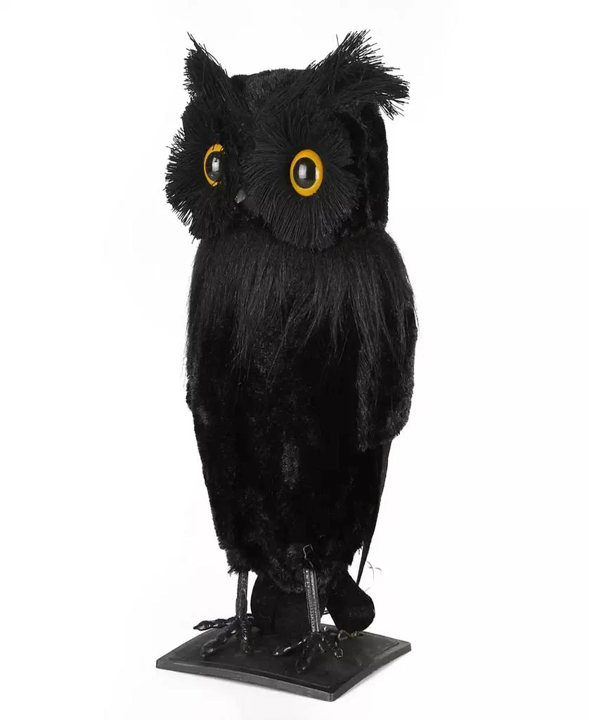 商品National Tree Company|11" Eerie Eyes Owl,价格¥135,第2张图片详细描述