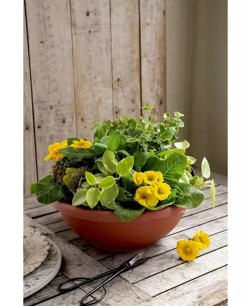 商品Akro Mils|Akro Mills Garden Bowl with Removable Drain Plugs, Clay Color, 14 In,价格¥194,第2张图片详细描述