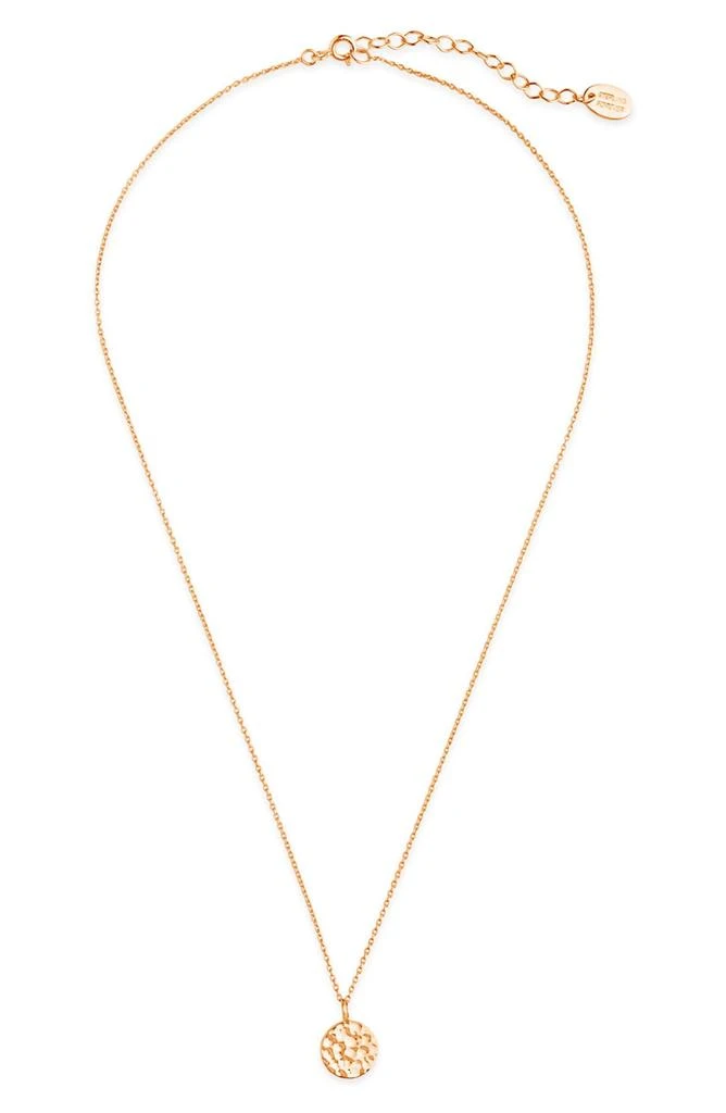 商品Sterling Forever|14K Rose Gold Plated Sterling Silver Hammered Disc Necklace,价格¥225,第3张图片详细描述