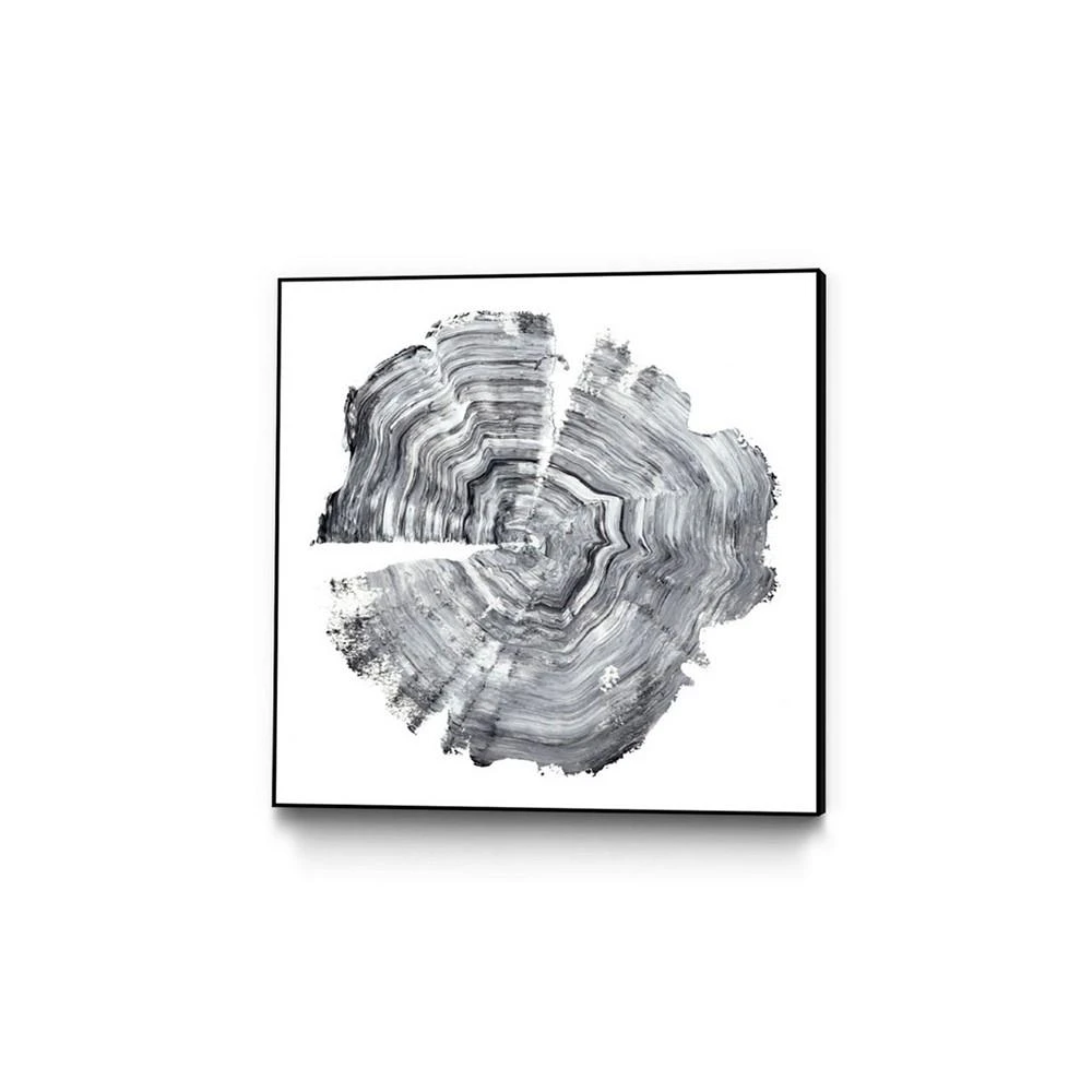商品Giant Art|20" x 20" Tree Ring Abstract IV Art Block Framed Canvas,价格¥2143,第1张图片