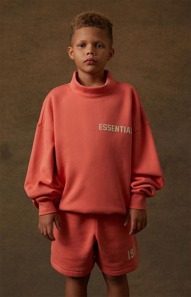 商品Essentials|Coral Mock Neck Sweatshirt,价格¥409,第4张图片详细描述