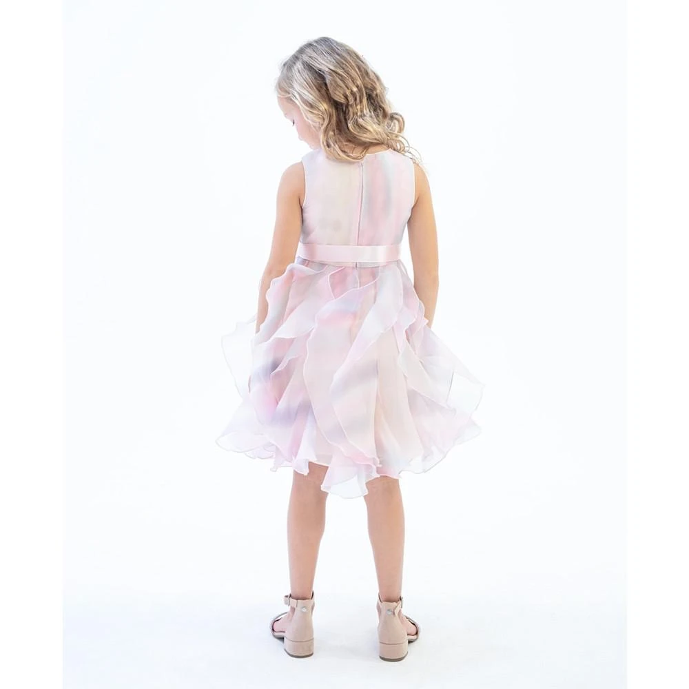 商品Rare Editions|Toddler Girls Sleeveless Sequin and Ombre Cascade Skirt Party Dress,价格¥247,第3张图片详细描述