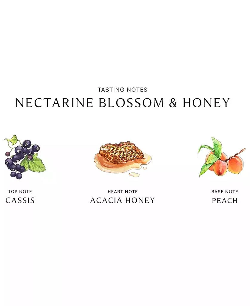 商品Jo Malone London|Nectarine Blossom & Honey Body & Hand Wash, 8.5-oz.,价格¥389,第2张图片详细描述