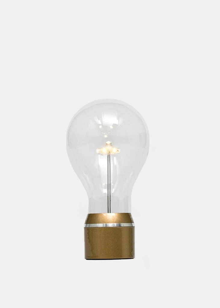 商品FLYTE|Flyte Gold Flyte Edison Single Bulb,价格¥567,第2张图片详细描述