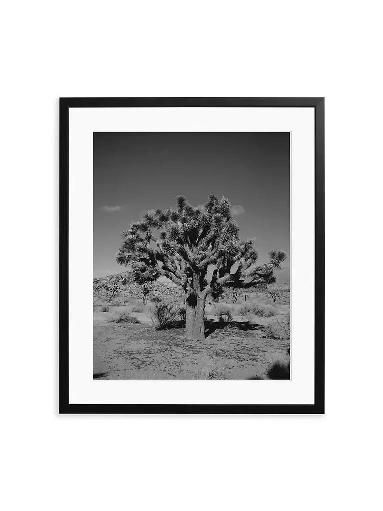 商品Sonic Editions|Joshua Tree National Park Art Print,价格¥2828,第1张图片