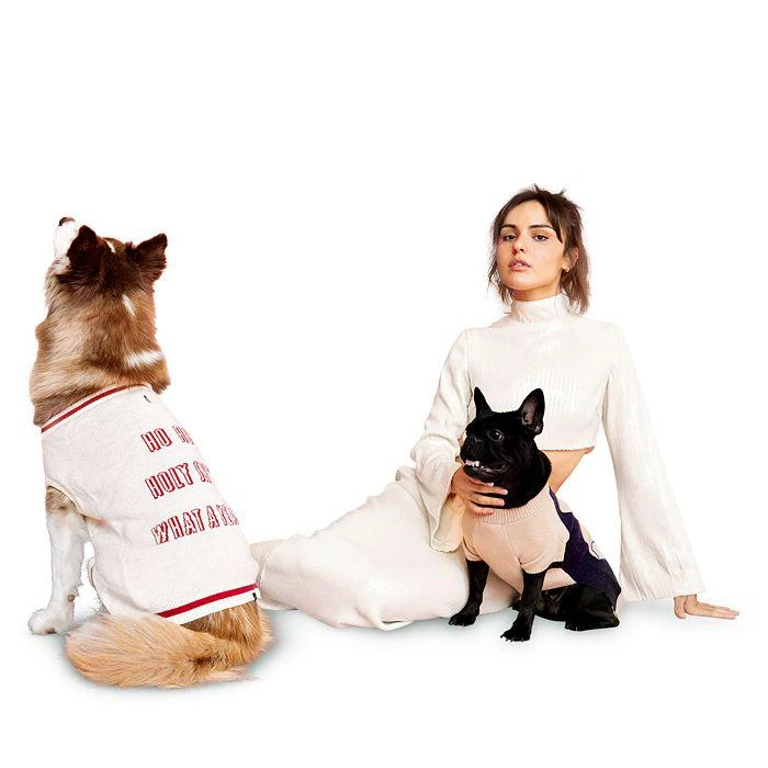 商品Maxbone|Graphic Pet Sweater,价格¥270,第3张图片详细描述