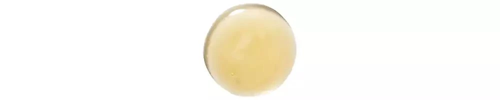 商品KLORANE|Nourishing Shampoo With Mango,价格¥164,第2张图片详细描述
