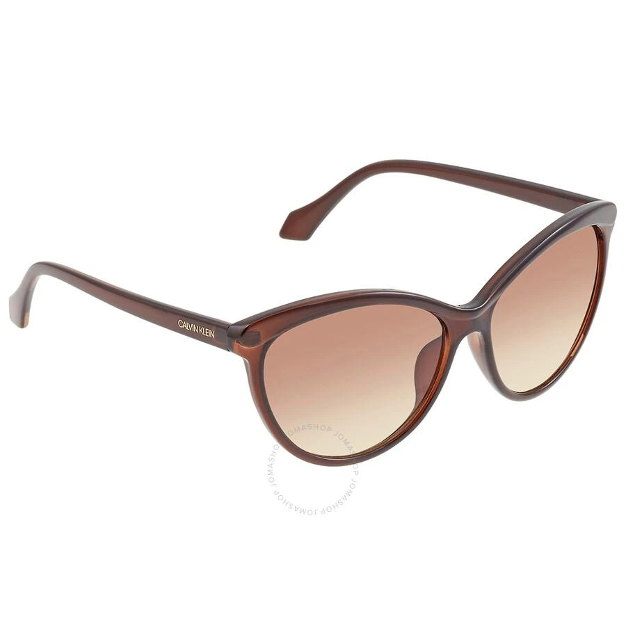商品Calvin Klein|Calvin Klein Brown Cat Eye Ladies Sunglasses CK19534S 210 58,价格¥221,第3张图片详细描述