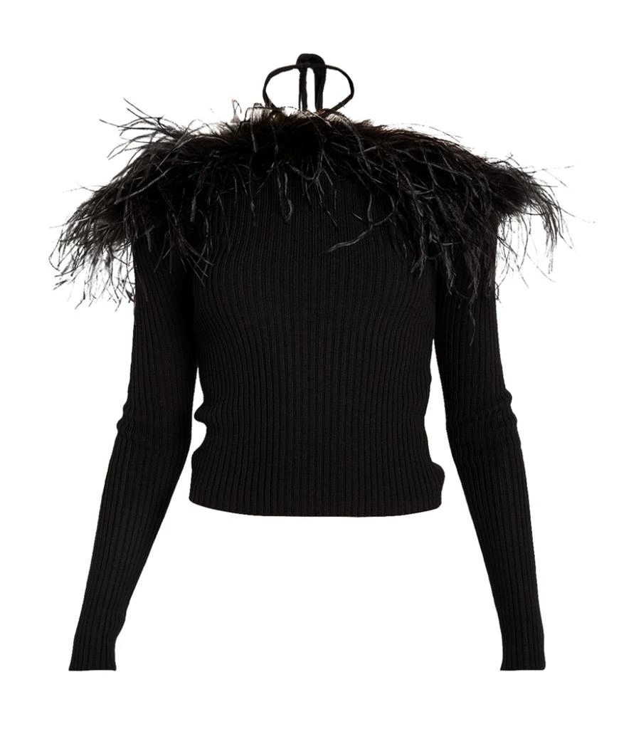 商品GIUSEPPE DI MORABITO|Feather-Trimmed Off-The-Shoulder Sweater,价格¥5292,第1张图片