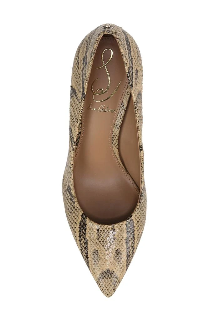 Hazel Pointed Toe Pump 商品