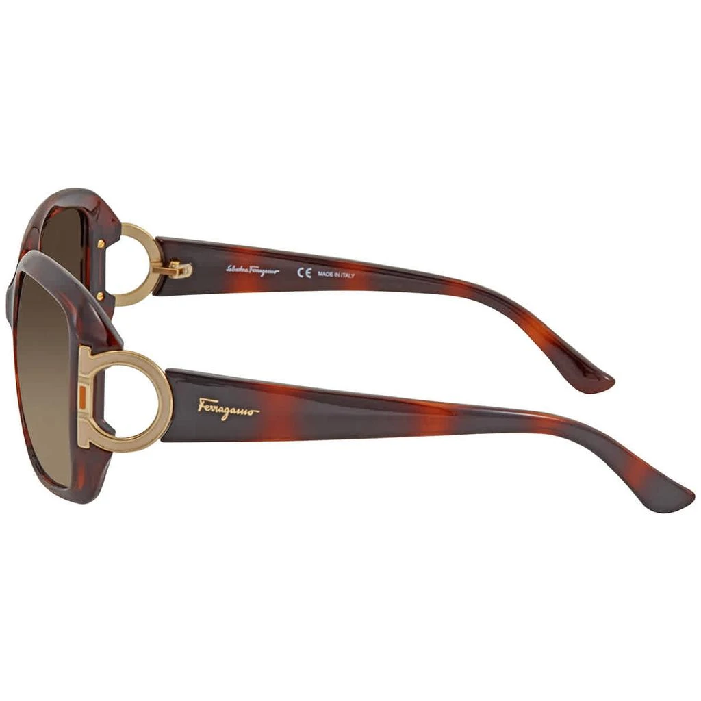 商品Salvatore Ferragamo|Salvatore Ferragamo SF666S 238 55,价格¥449,第3张图片详细描述