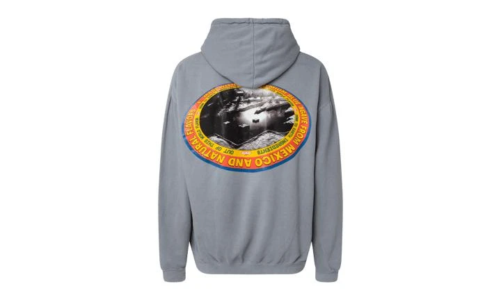 商品Travis Scott|Travis Scott Cacti Pond Hoodie,价格¥887-¥962,第4张图片详细描述