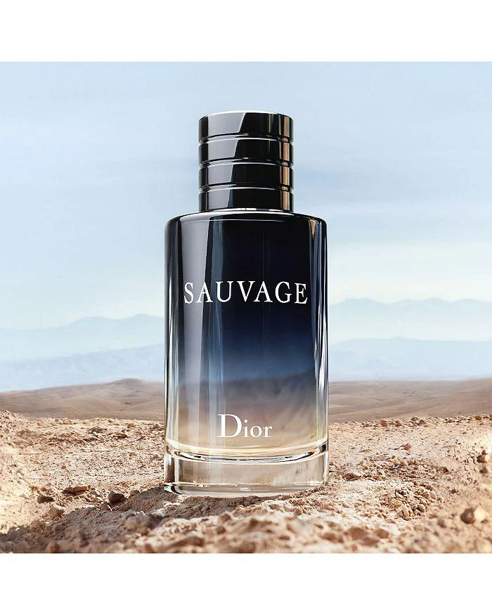 商品Dior|Sauvage Eau de Toilette,价格¥510,第3张图片详细描述