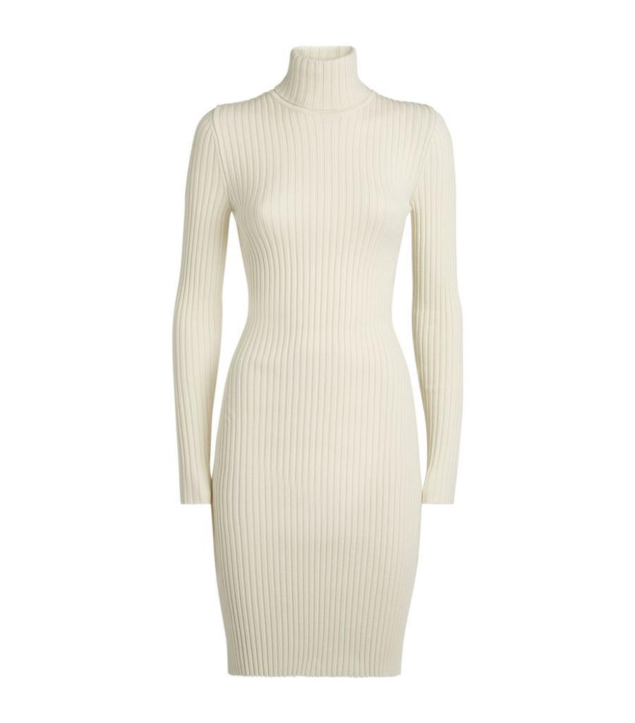 商品Wolford|Wool-Cotton Ribbed Dress,价格¥4984,第1张图片