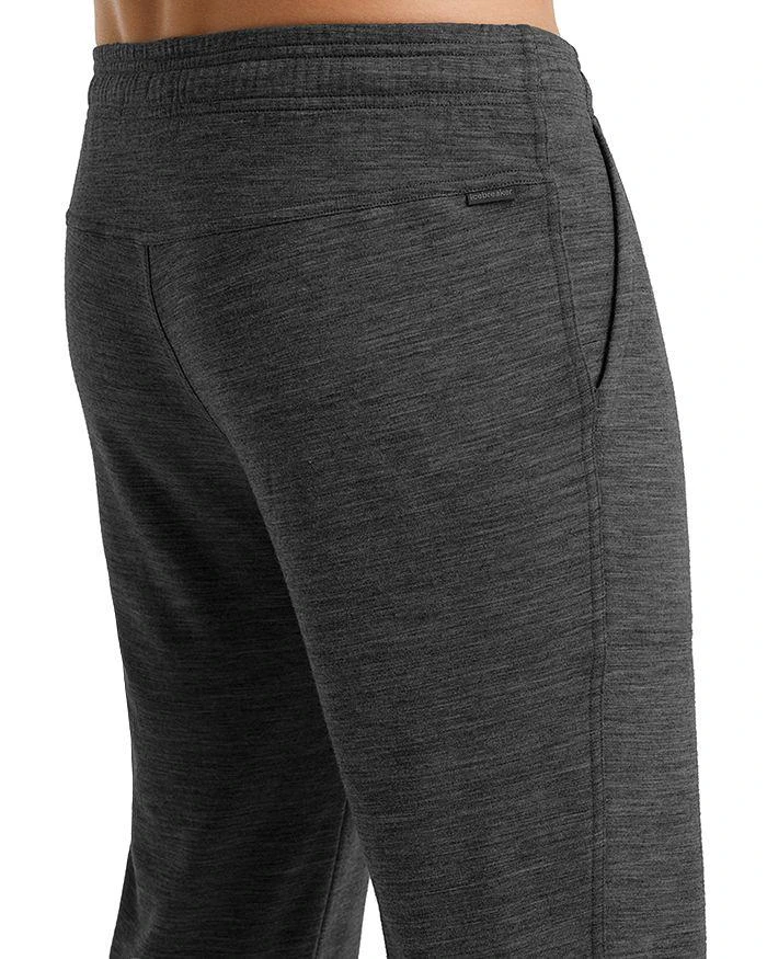 商品Icebreaker|Shifter Regular Fit Jogging Pants,价格¥1114,第4张图片详细描述