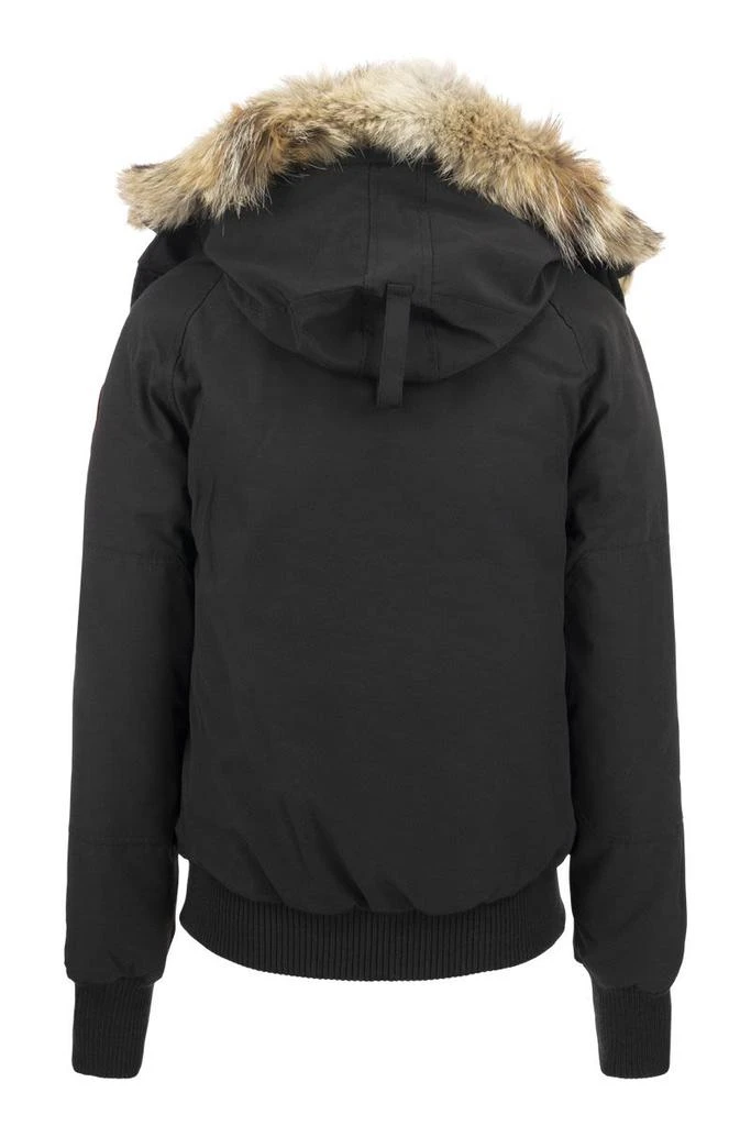 商品Canada Goose|CANADA GOOSE CHILLIWACK - Bomber jacket with hood lining,价格¥8048,第2张图片详细描述