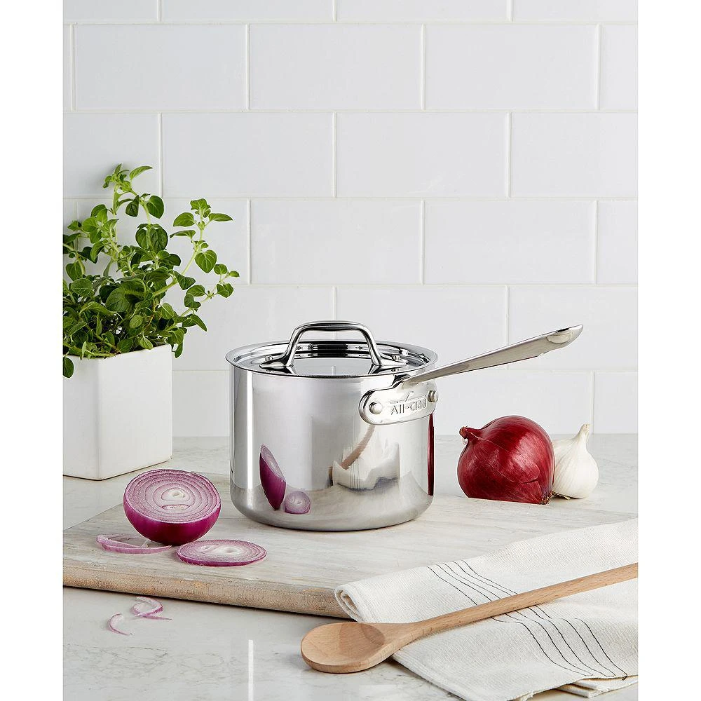 Stainless Steel 2 Quart Sauce Pan with Lid 商品